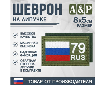 Шеврон на липучке «79 регион». Размер 80х50 мм. Цвет: хаки.